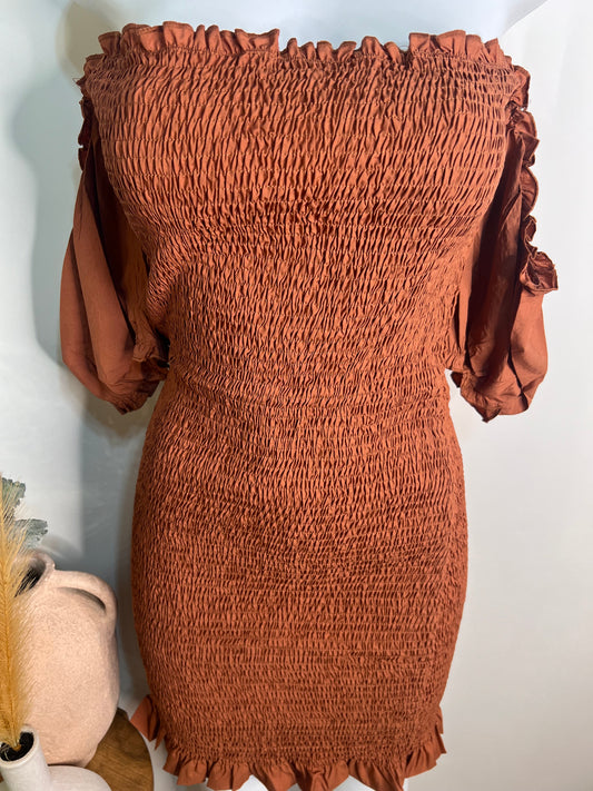 Brown scrunch dress